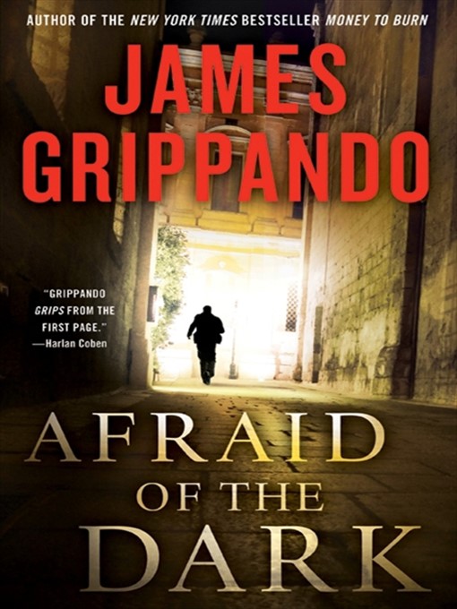 Title details for Afraid of the Dark by James Grippando - Wait list